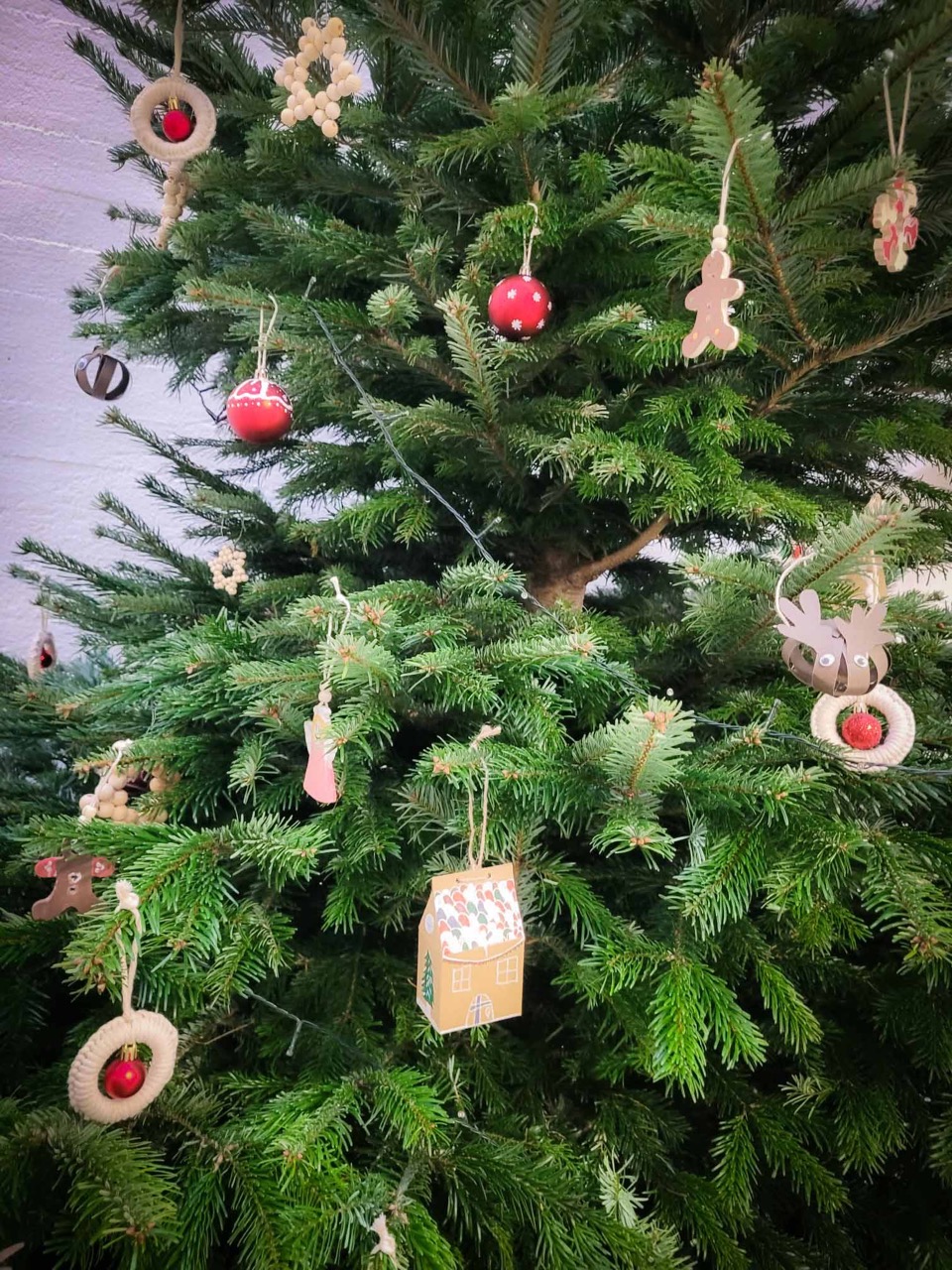 25.12. Schultannenbaum4